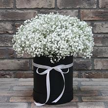 Цветочная композиция из Гипсофила в шляпной коробке в Ижевске